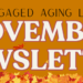 Banner image for 2025 November newslettter